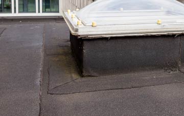 disadvantages of Puddletown flat roofs