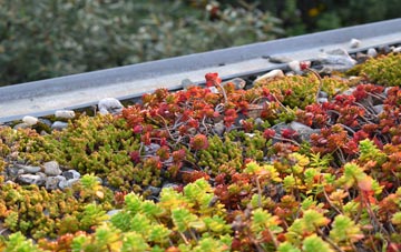 the cost of Puddletown green roof installation